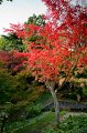 0008Jardin A Kahn